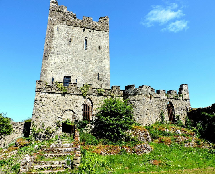 Clonony Castle, Clonony, Ireland, Ireland